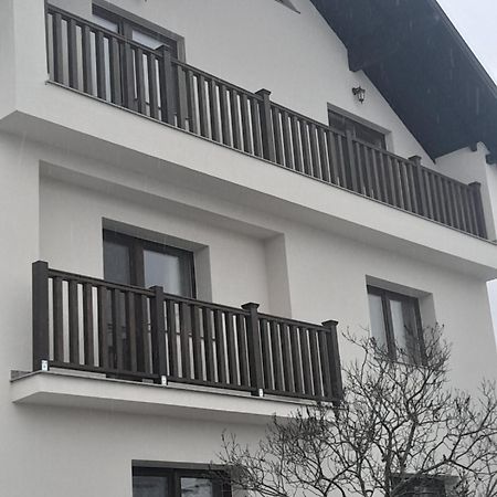 Hotel Casa Carmen à Poienile Izei Extérieur photo