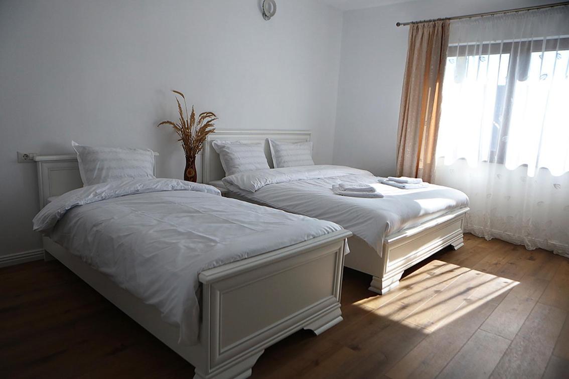 Hotel Casa Carmen à Poienile Izei Extérieur photo